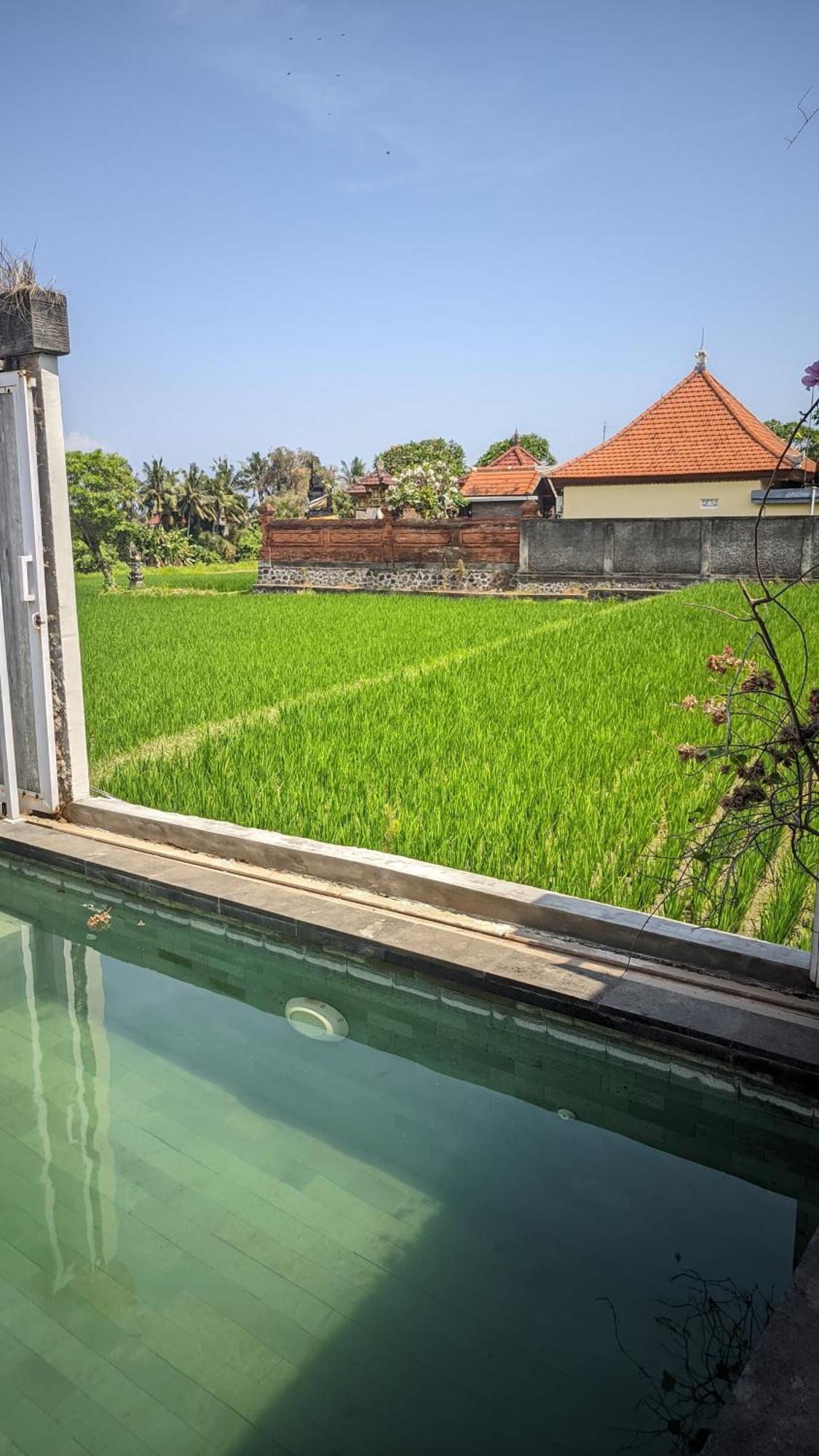 Sujiwa Ubud Hotel & Villa Esterno foto