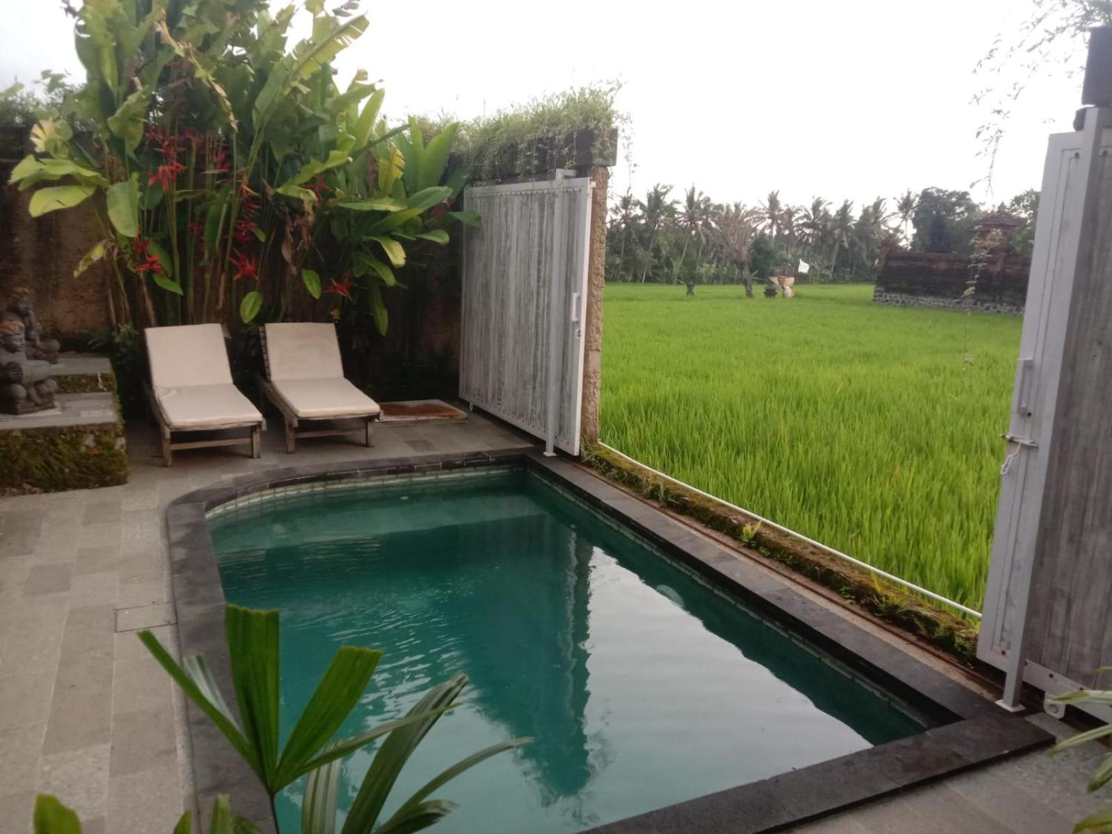 Sujiwa Ubud Hotel & Villa Esterno foto